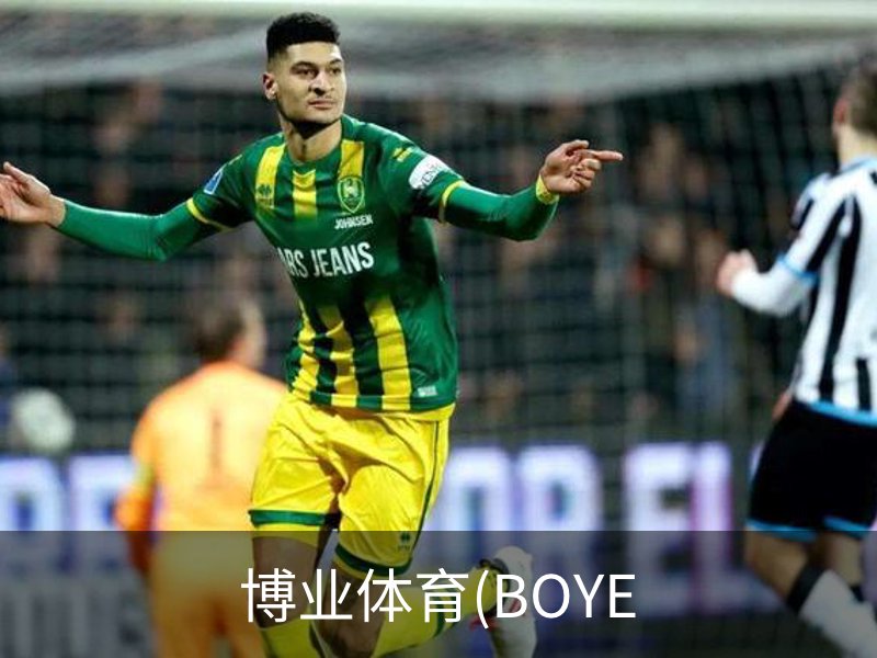 博业体育(BOYE概况