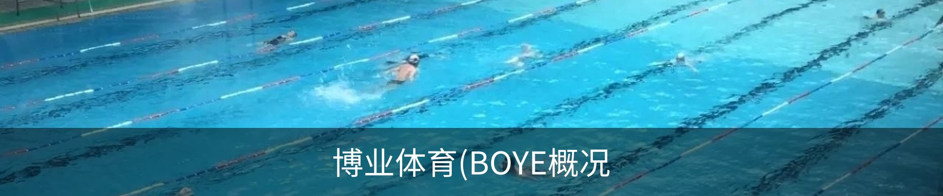 博业体育(BOYE概况